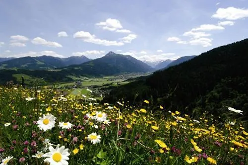 호텔 Garni Ransburgerhof 플라차우